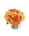 The Simply Bewitching Bouquet